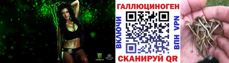 Галлюциногенные грибы GOLDEN TEACHER  сколько стоит  Алзамай 